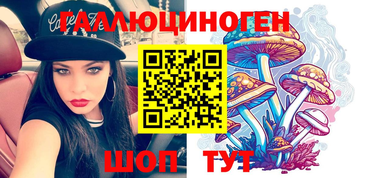 Псилоцибиновые грибы мицелий Санкт-Петербург