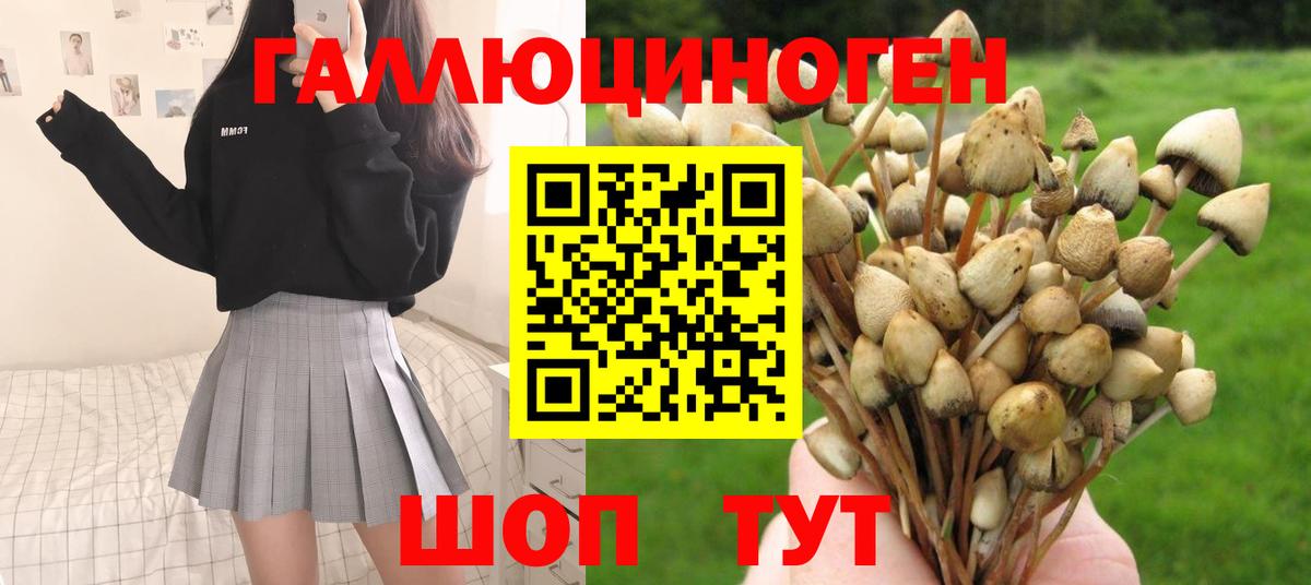 Галлюциногенные грибы Psilocybine cubensis  Галлюциногенные грибы Cubensis  Вход с VPN  Санкт-Петербург 